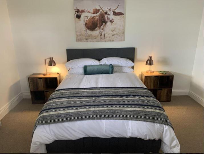 Vila Jack Of The Karoo Sutherland Exteriér fotografie